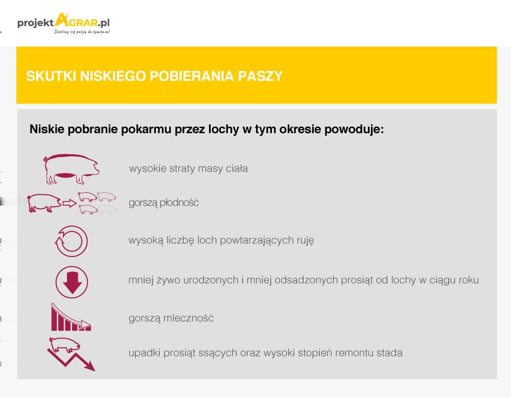 Wpływ pobierania paszy przez lochy w okresie karmienia prosiąt na ich późniejszą użytkowość rozpłodową jest bardzo istotny.