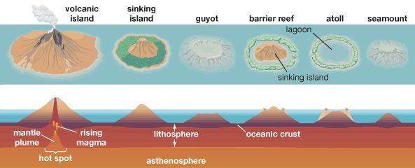 Baseny oceaniczne zajmują najwięcej bo aż 73,1% dna oceanicznego i znajdują się najczęściej na głębokości 3000-6000 m p.p.m. Leżą one pomiędzy podnóżami kontynentalnymi i grzbietami śródoceanicznymi.