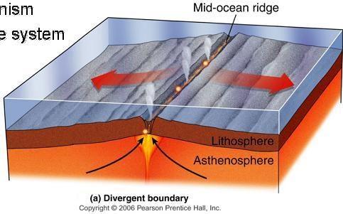 Grzbiety śródoceaniczne występują w obrębie basenów oceanicznych, a w zasadzie rozdzielają