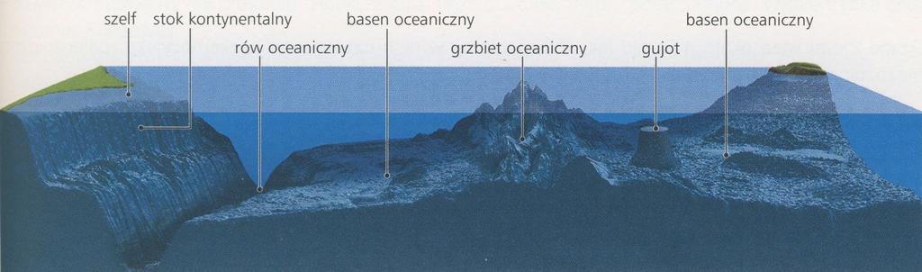 W obrębie dna oceanicznego wyróżnia się m.in.