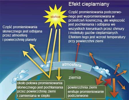 EFEKT CIEPLARNIANY 10 Efekt cieplarniany zjawisko podwyższenia temperatury