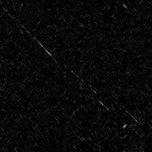 Leptyna Mus musculus DOT-MATRIX DOPASOWANIE: