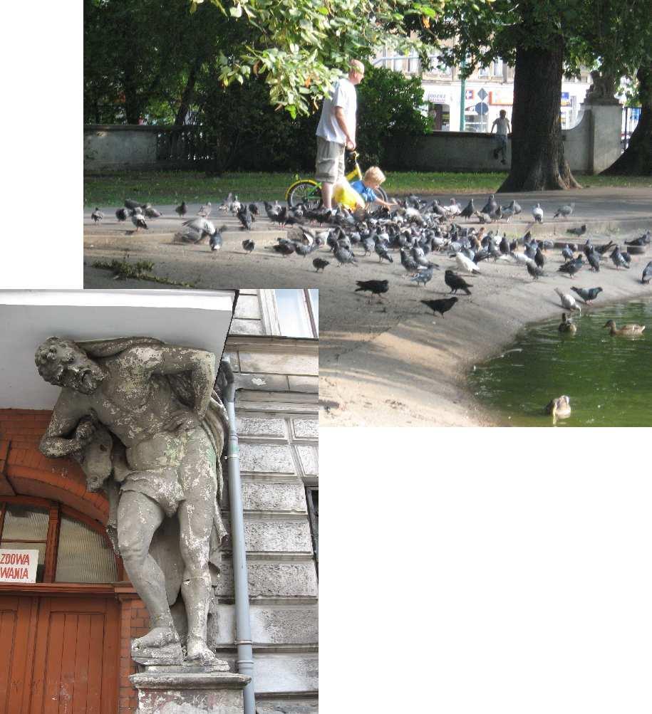 W R Z E S I E Ń / SEPTEMBER / SEPTEMBER 0 1 Bronisława Idziego Adrianny Klementyny 1 Nikodema Albina Tomasza Maurycego Michaliny Rafała Stefana Juliana Piotra Mikołaja Edyty Kornela Tekli Marty 0