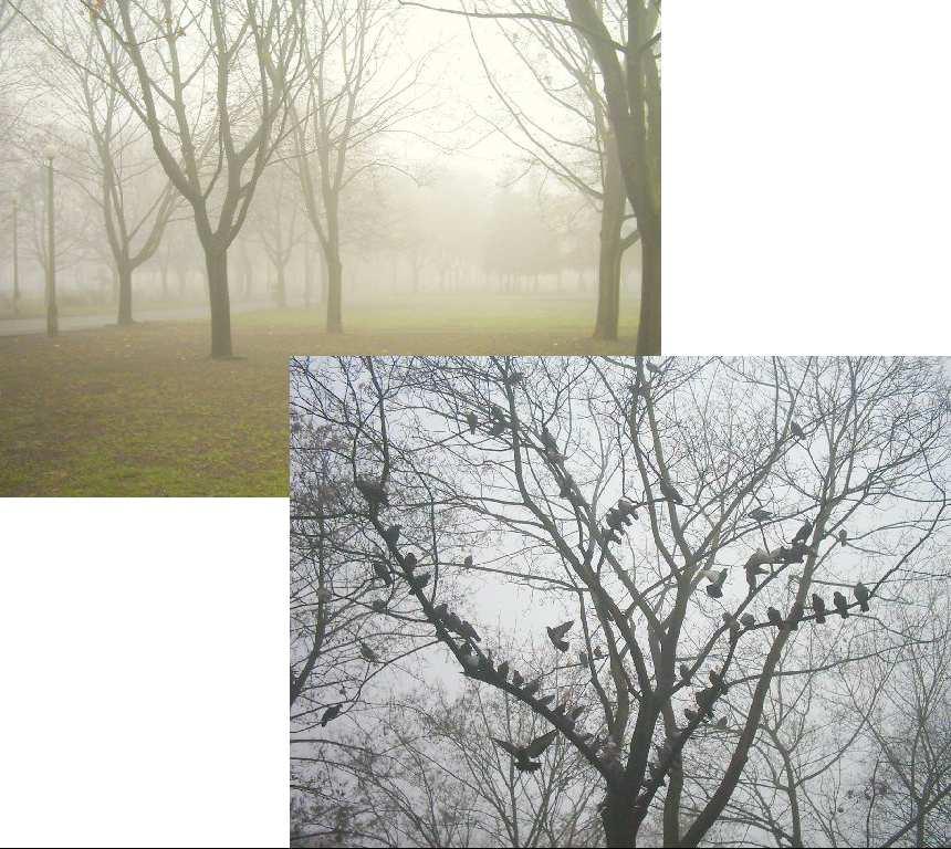 S T Y C Z E Ń / JANUAR / JANUARY Park Kasprowicza 1 Nowy Rok Mieczysława Juliana Lucjana 1 Feliksa Hilarego 1 Dzień Babci Agnieszki Walerego Radomira Seweryna Teofila 1 Izydora Makarego Dzień Dziadka