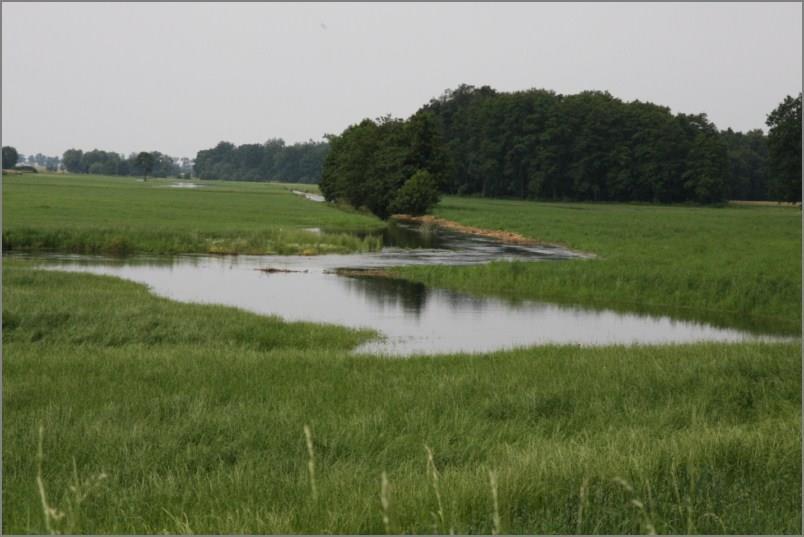 30 S t r o n a Fot.1. Meandry na rzece Dąbroczna na terenie gminy Pępowo źródło: www.pepowo.