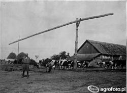 https://www. Praca rolnika na przestrzeni lat mogła zmienić charakter pod wpływem przemian ustrojowych. (źródło: agrofoto; użytkownik: michalll2532).