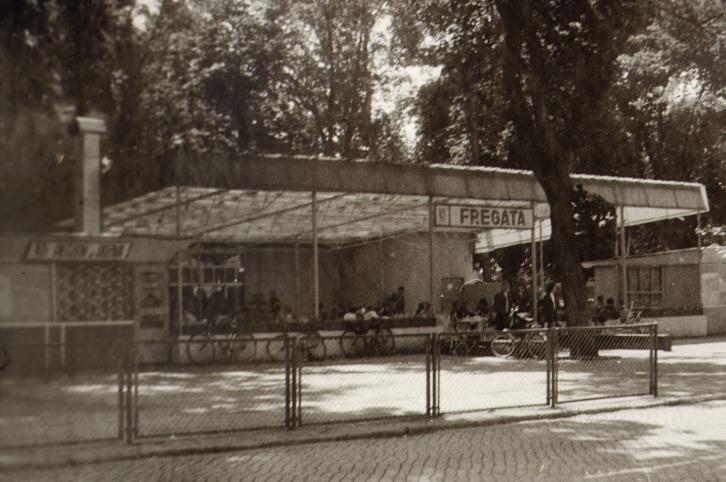 Il. 71. Bar Fregata. Rok 1977.