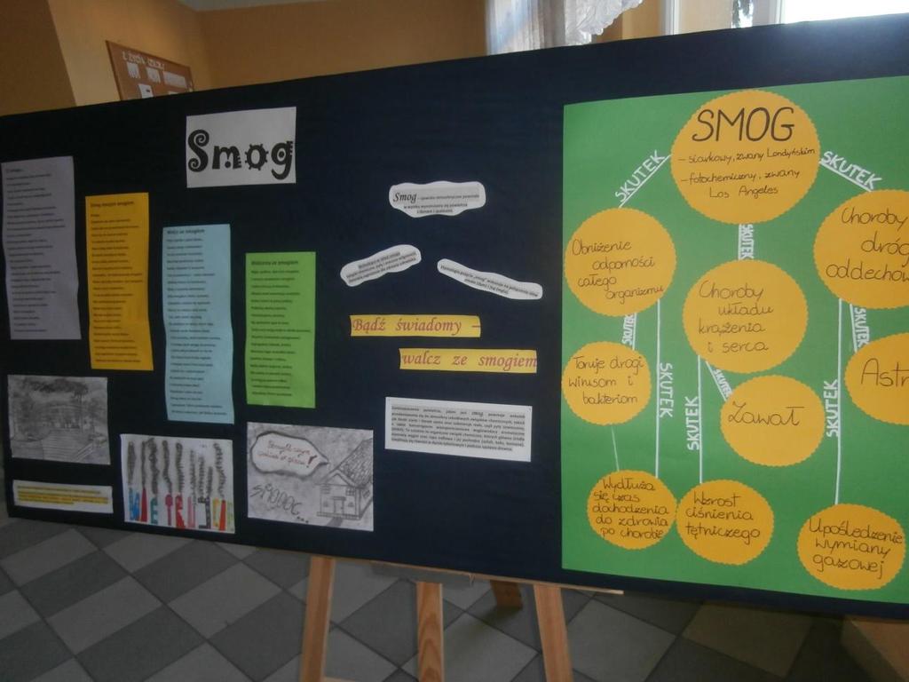 7. Projekcja filmów o tematyce globalnej dotyczących smogu i przygotowanie gazetki tematycznej Na lekcjach przyrody i biologii w szkole podstawowej, gimnazjum i liceum