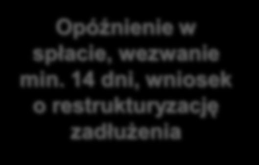 Niedotrzymanie przez kredytobiorcę warunków umowy kredytu Opóźnienie w spłacie,