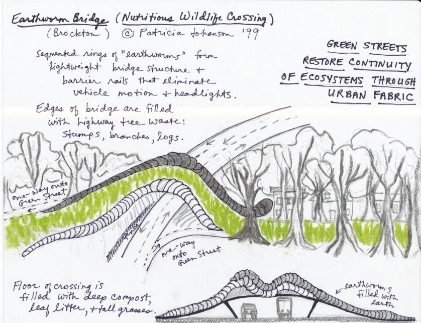 Ryc. 1.11. Most dżdżownica (przejście habitatowe Brockton) Źródło: Patricia Johanson, 1999, Earthworm Bridge (Nutritious Wildlife Crossing - Brockton) [107]. Ryc. 1.12.