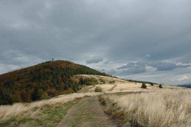 Krzyż Papieski na