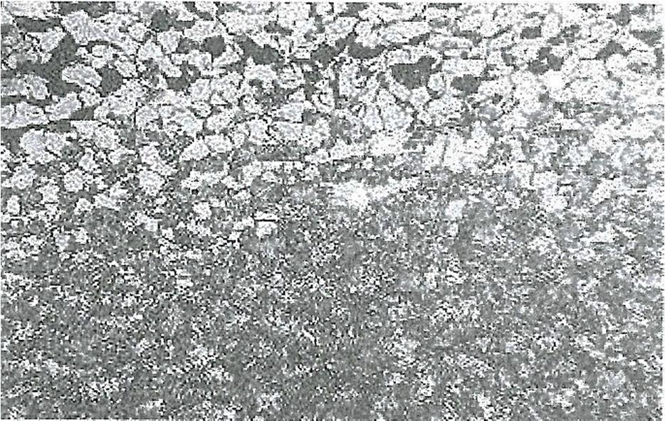 Structures of 18HGT steel: a) in annealed state and after laser treatment with laser beam travel speed 16 mm/s: b) after hardening with melting, c) in transitional zone, d) after hardening and