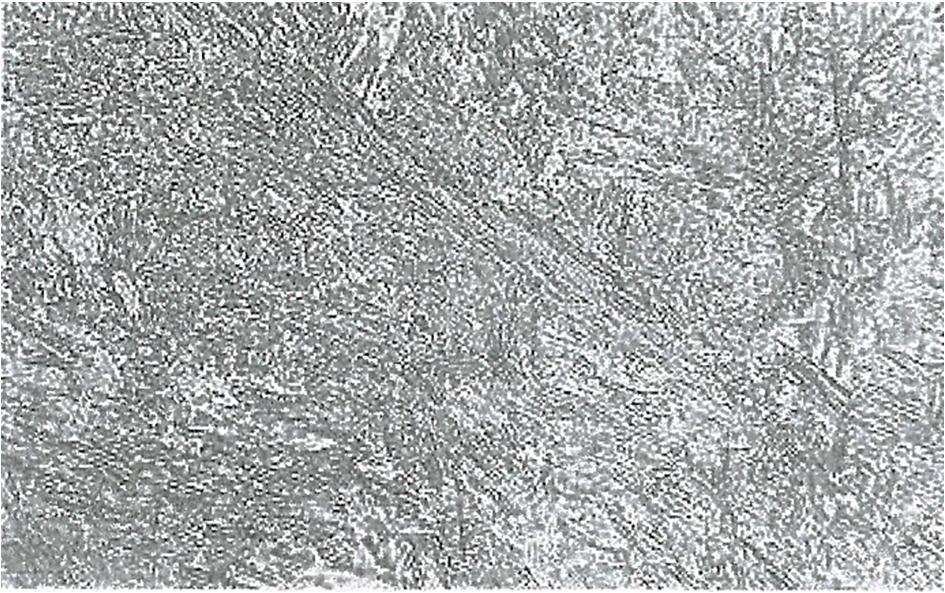 Structures of 33H3MF, 38HMJ, 40H and 45 steel after hardening with melting, at laser beam travel speed 16 mm/s; mag. 500 x Rys. 6 przedstawia struktury zahartowanych stali w strefie przetopionej.