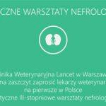 Promowane I Diagnostyka ultrasonograficzna