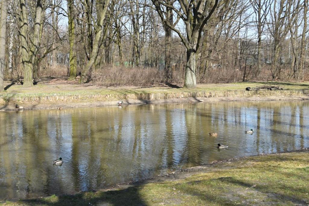 Priorytetowym działaniem powinno być zachowywanie istniejących siedlisk ptaków, a dopiero w przypadku, kiedy nie będzie to możliwe tworzenie siedlisk zastępczych.