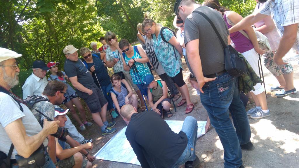 Działania animujące