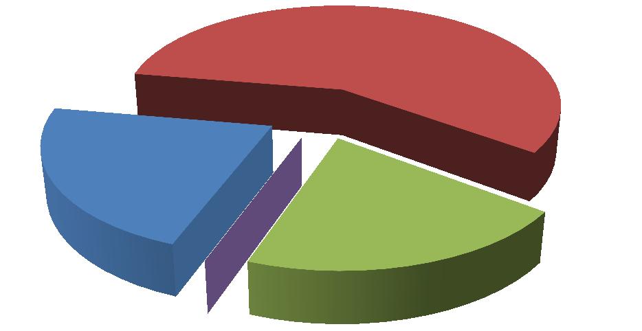 średnie napięcie - taryfa B 58% wysokie napięcie - taryfa A 22% 0% niskie napięcie - taryfa C+R oraz G 20% Rysunek 4-10 Struktura sprzedaży energii elektrycznej w 2013 roku Źródło: TAURON Dystrybucja