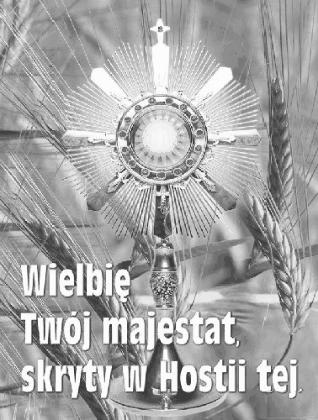 Wystarczy wejść na stronę: http://www.masstimes.org Po Mszy Świętej o godzinie 10:00 odbędzie się procesja Eucharystyczna do czterech ołtarzy.