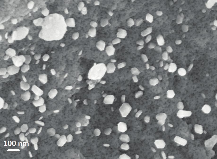 M. Winkowska, L. Lipińska, T. Strachowski,... tions were also conducted to the microstructure. Fig. 4.
