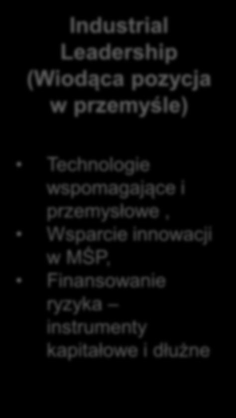 Przyszłe i powstające technologie (Future and Emerging Technologies (FET)