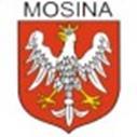 Program skonstruowany jest z 2 części wiosennej, w trakcie której nacisk położony jest na diagnozę