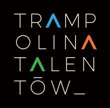 PROGRAM TRAMPOLINA TALENTÓW STUDENCI UCZELNI WYŻSZYCH ABSOLWENCI UCZELNI WYŻSZYCH Trampolina Talentów to projekt społeczny realizowany w obszarach Employer Brandingu, CSRu i rekrutacji.