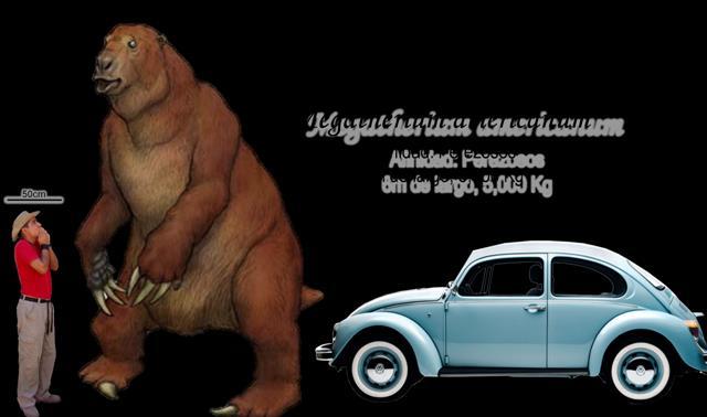 Szczerbaki