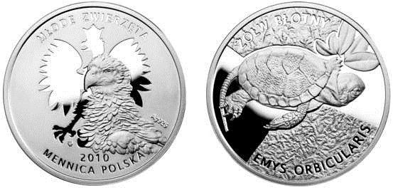 Młode zwierzęta