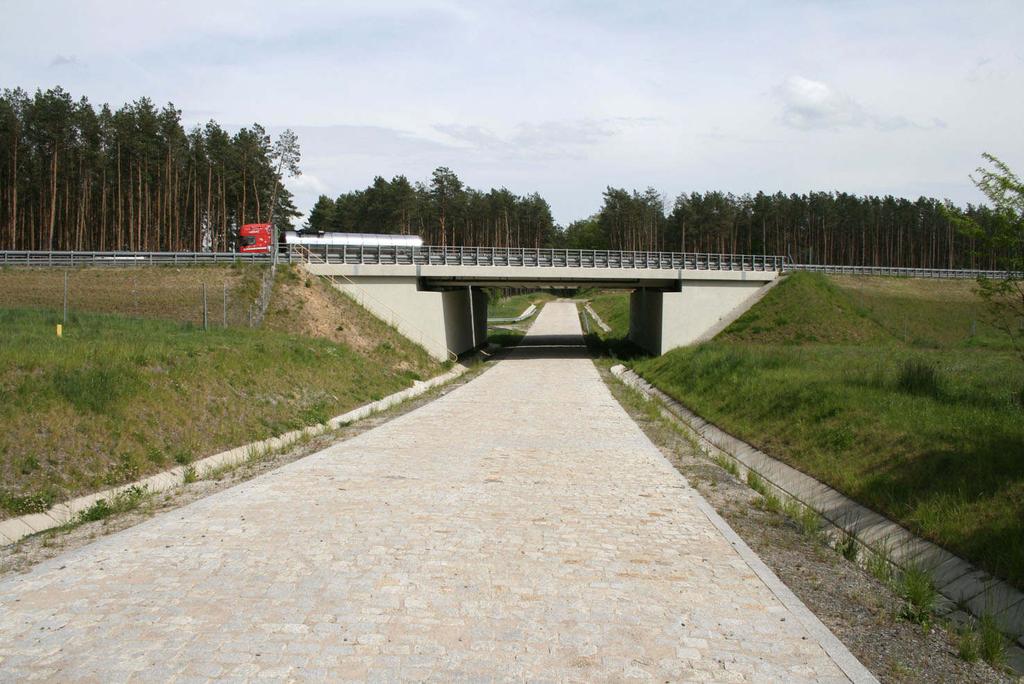 wysokie ryzyko kolizji wszystkich gatunków zwierząt naziemnych Fot. 7. Przejście dla średnich zwierząt k.