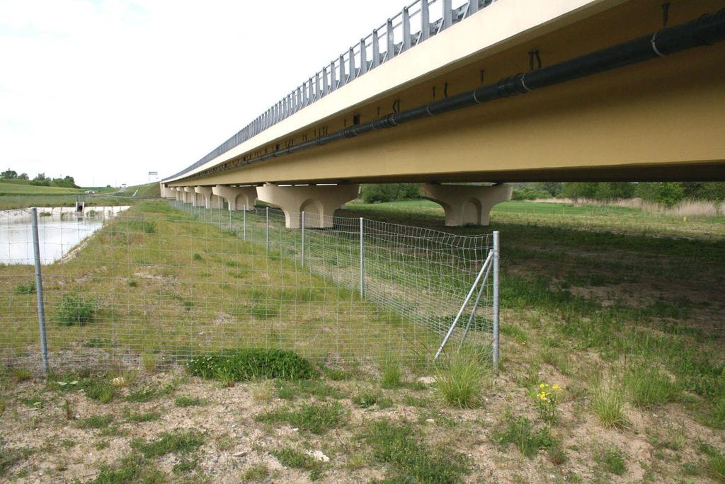 Fot. 14. Przejście dla dużych zwierząt pod estakadą k.