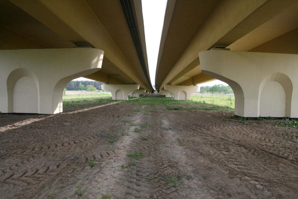 Fot. 16. Przejście dla dużych zwierząt pod estakadą k.