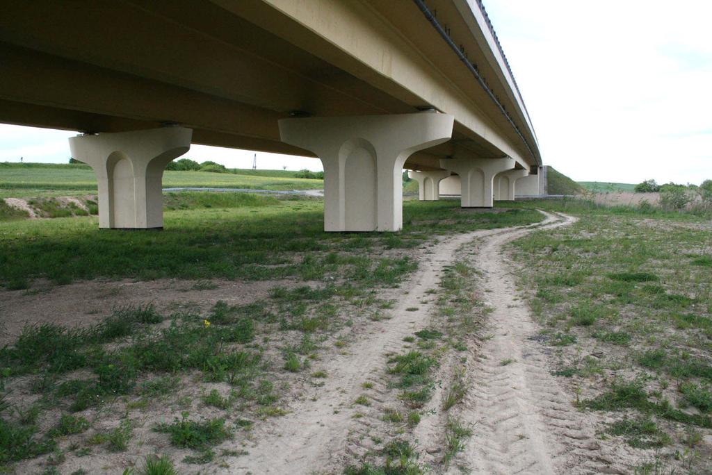 Fot. 18. Przejście dla dużych zwierząt pod estakadą k.