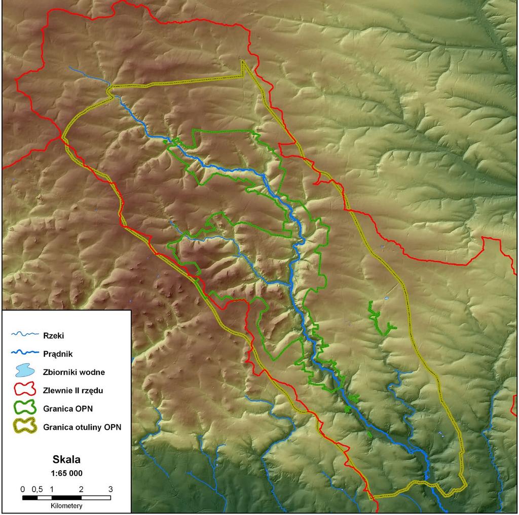 wierzchowinami (Medwecka-Kornaś, Loster 1995). Głównymi dolinami OPN płyną dwa stałe cieki Prądnik (12 km dł. w granicach Parku) i Sąspówka (4,5 km dł.
