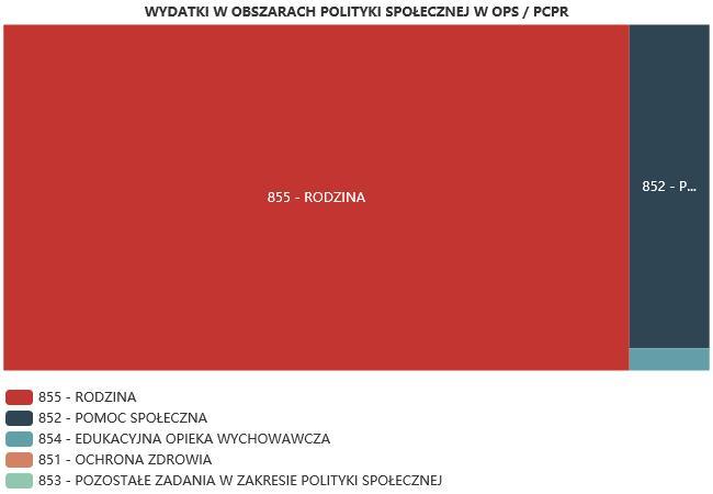 ŚRODKI FINANSOWE NA WYDATKI W POMOCY SPOŁECZNEJ I INNYCH OBSZARACH POLITYKI SPOŁECZNEJ W BUDŻECIE JEDNOSTKI SAMORZĄDU TERYTORIALNEGO (zadania własne i zadania zlecone) W złotych WYSZCZEGÓLNIENIE 217