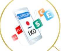 6-krotny wzrost r/r wolumenu sprzedaży pożyczki gotówkowej w IKO