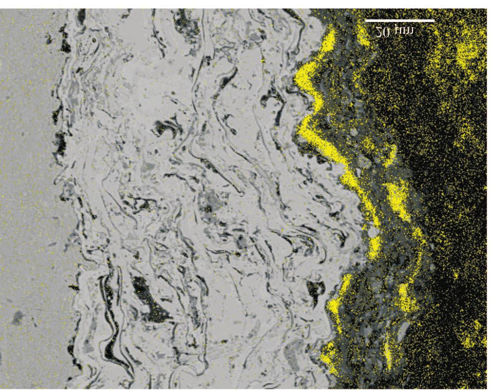 1067 Fig. 3 f. SEM microstructure of Ni(Al) and Cr(Ni) transition layers and the coating, map of Fe, Al and Cr distributions (light regions) Analysing the SEM image in Fig.