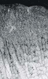 . Staliw austenitcne w stanie nawęglnm: a) prkładwa mikrstruktura warstw nawęglnej p h nawęglania w temperature 9,,, d) wniki rentgenwskiej anali fawej w klejnch prekrjach warstw nawęglnej W