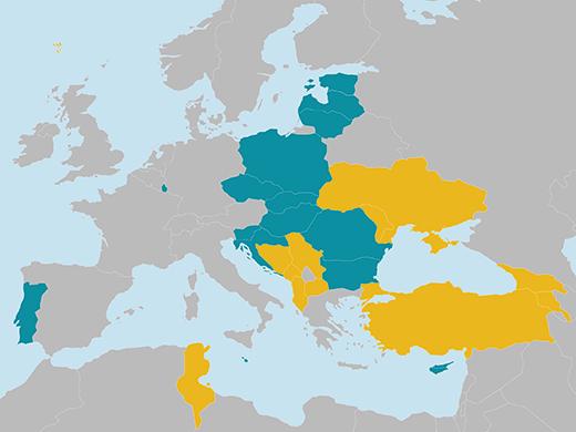 Widening Fellowships Realizacja: panel dla naukowców którzy aplikowali do European Fellowship; ich wnioski zostały dobrze ocenione (pow.