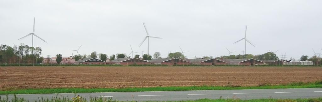 Selekcja pod kątem zdolności matczynych i mleczności jest wyzwaniem, ale nasze lochy TN70 są ostatecznym dowodem na to, że jest to możliwe.