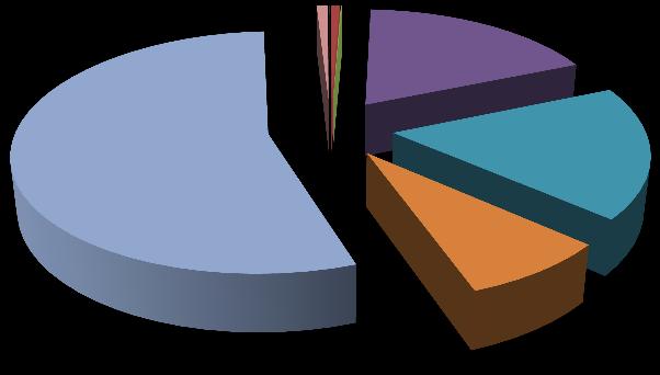 0,9 0,1 0,0 0,6 0,1 18,0 I II IIIa 54,5 17,8 IIIb 8,1 IVa