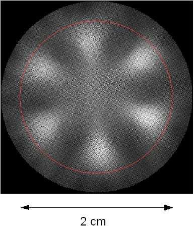 KAPITOLA 2. EXPERIMENTÁLNÍ ČÁST 62 (a) (b) Obrázek 2.47: (a) Rozložení vzorku. (b) Obrázek získaný zpětnou projekcí spekter (n = 18). Červená kružnice vymezuje prostor pro umístění vzorku. 2.8 vážené obrazy Vznik váženého obrazu může být demonstrován měřením vzorku, který se skládá ze dvou částí, z nichž jedna je tvořena vodou a druhá částečně deuterovanou vodou (obr.