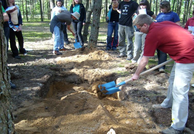 (naturalnych, słabo przekształconych, zurbanizowanych), stosować