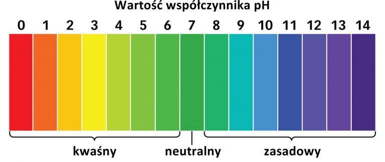 Prawidłowe ph włosów NIEWŁAŚCIWE ph WPŁYW