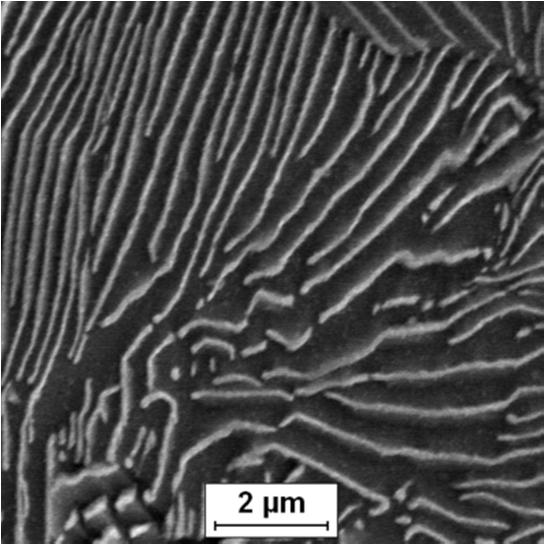 Microstructure of C70D steel after rolling at the temperatures of 750 C and 900 C Temperatura walcowania, [ C] Rolling temperature, [ C] Tab. 4.
