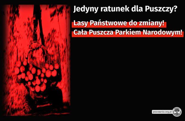 eksperci Międzynarodowej Unii Ochrony Przyrody (IUCN) po dokonanej we wrześniu 2018 r. wizji w Puszczy oceniającej m.in. wycinki pod pretekstem bezpieczeństwa, dali Polsce kolejną żółtą kartkę.