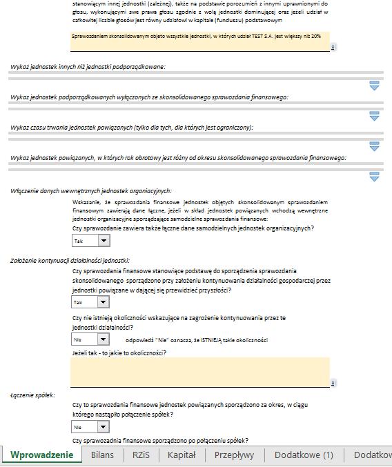 tę listę Linia oznaczająca koniec listy Rysunek 9 Pierwsza pozycja listy jednostek objętych raportem (wariant Skonsolidowany, arkusz Wprowadzenie) Informacje o pojedynczej jednostce umieszczonej na