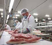 BELGIAN PORK GROUP LOCKS NV Specjalizujemy się w standardowym porcjowaniu wieprzowiny wysokiej jakości, jak również na zamówienia indywidualne Locks to jeden z 7 belgijskich zakładów produkcyjnych