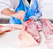 Dopasowana oferta zdrowego mięsa wieprzowego o najwyższej jakości, skierowana do klientów w kraju i za granicą, w sektorze gastronomicznym, detalicznym oraz przemysłowym.