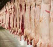 BELGIAN PORK GROUP COMECO NV Produkty stworzone na miarę Comeco jest jednym z najważniejszych eksporterów mięsa wieprzowego w Belgii.