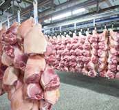 Covameat jest wysokiej klasy specjalistą w przemyśle mięsnym i gwarantuje najwyższą jakość, począwszy od hodowli, aż po sprzedaż.
